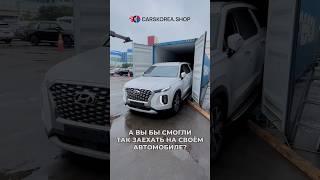 Новая отправка автомобилей для наших клиентов #carskorea #автоизкореи #kia #hyundai #carnival #шортс