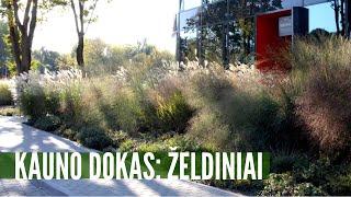 Metų atradimas - "Kauno dokas" / Pokalbis su Danguole Liagiene