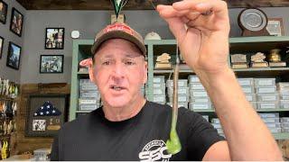 BFL All-American Champ Shows Me THIS Secret Worm Fishing Technique…