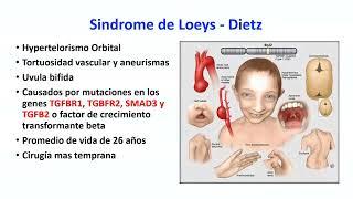 Cirugía Aórtica y Aortopatía