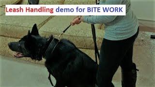 Leash Handling during Bite Work (K9-1.com)