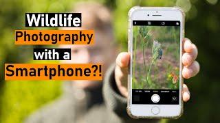 Wildlife Photography with a Normal SMARTPHONE?! Yes it's Possible!