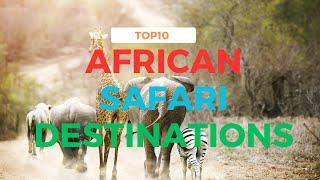 Top 10 Must Visit African Safari Destinations for Wildlife Enthusiasts