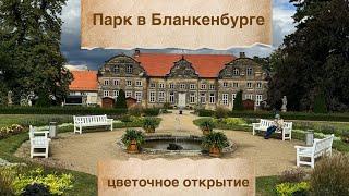 Один день из путешествия: фахверковые домики, магазинчики, посещение парка, растения-открытия 