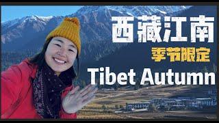 西藏林芝—深入藏族村落，体验一天高山牧场的生活 Tibet Nyingchi Experience a Tibetan village in depth| Hidden China S1EP11