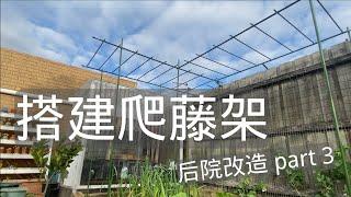 搭建爬藤架｜铺砖｜种菜｜后院改建 part 3