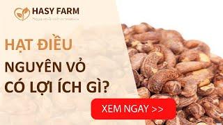 Có nên ăn hạt điều nguyên vỏ không? Lợi ích của vỏ hạt điều không phải ai cũng biết
