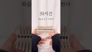 칼림바 연습 30분 vs 4000시간