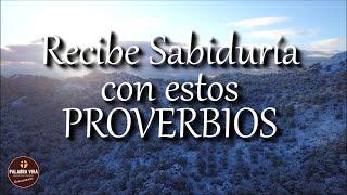 Proverbios de la Biblia | Recibe paz y sabiduria de parte de Dios