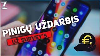 Nori užsidirbti pinigų už survey's?