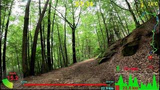 60 minute MTB Indoor Cycling Workout Telemetry Speed Display 4K Video