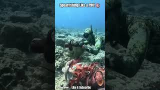 INSANE Spearfishing! Red Snapper & Octopus Caught in Hawaii! #Spearfishing