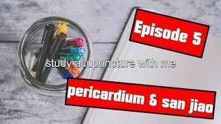 Acupuncture Board Preparation - pericardium and san jiao meridians