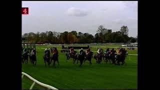 2002 Electricity Direct St Simon Stakes