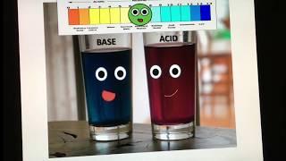 Acids, Bases, and the pH Scale