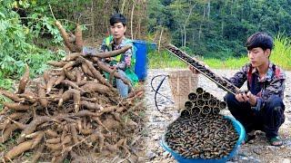 Harvesting cassava to dry for animal feed, How to trap snails with bamboo tubes | Triệu Văn Tính