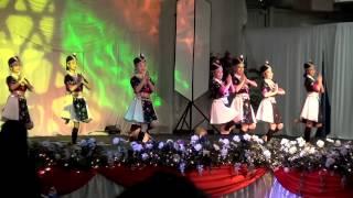 Fresno Hmong International New Year 2013-2014 (Nkauj Hmoob Hli Xiab - Round 1)