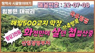 (22-07-08) 해발500고지 조용하고 한적한 곳에  옛날 화전민들이 살던 임야. 국유림 접한 청정지역 막장에 볕이 잘 드는 자연생활 가능한 산림경영부지.