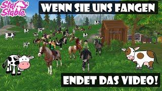 Kuriose Kuhjagd - Wenn sie uns fangen, endet das Video | Star Stable Online [SSO]