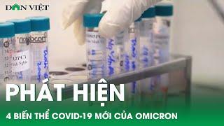 Bản tin Dân Việt Nóng 24/4: TP.HCM phát hiện 4 biến thể Covid-19 mới của Omicron | Báo Dân Việt