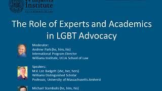 Webinar: Experts & Academics in LGBT Advocacy