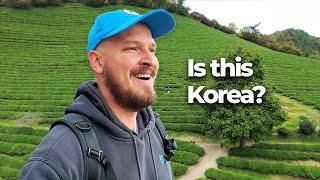 I Can't Believe This is Korea!