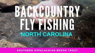 Backpacking and Fly Fishing in Western North Carolina (Wild Brook Trout)