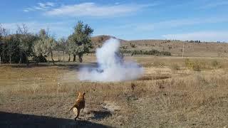 Exploding wedding cake