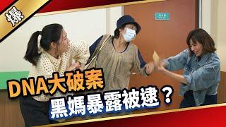 《八點檔搶先爆》愛的榮耀 EP268 DNA大破案  黑媽暴露被逮？