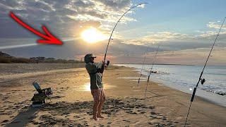 NC Surf Fishing IS ON FIRE - Surf Fishing With Fresh Shrimp