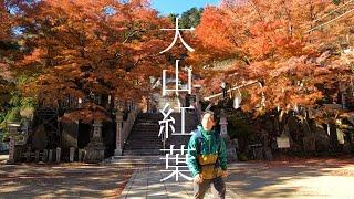 丹沢大山の隠れた紅葉スポットを探せ!