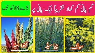 Fennel seeds| Sonf |Chia seed| Quinoa seed |introduction| high yield Crop |Kalonji advanced Farming