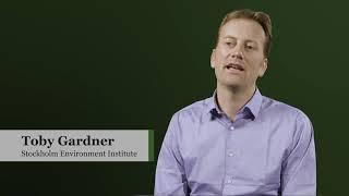 Deforestation in Supply chains: Interview with Toby Gardner - Stockholm Environment Institute