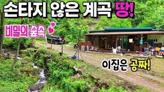 30.진심! 맑은계곡!주택은 공짜! 계곡땅매매.김삿갓 숲속 평화롭고 숨겨진 휴식처 방문기" 오프로드 캠퍼추천~ 가까운 오지다 ! 강추 제천땅집부동산TV