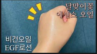 (광고협찬)위셀호프 달맞이꽃 에센스 오일,비건오일,EGF로션,순식물성오일,겨울철보습관리,WeCELHOF Dalmaji Flower Essence Oil, Vegan Oil
