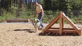 NEW Tehaleh Spotlight: Hounds Hollow Dog Park