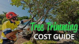 What is the average cost of tree trimming? (A Quick Guide)