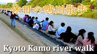 Kyoto Japan walk! /Along the busy Kamo River/May 4 2023