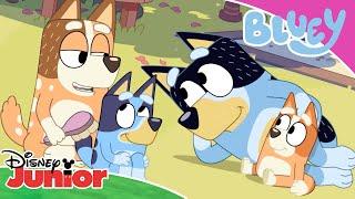  Zaklęcie wróżki | Bluey | Disney Junior Polska