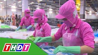Tin vui cho cá tra xuất khẩu sang Mỹ | THDT