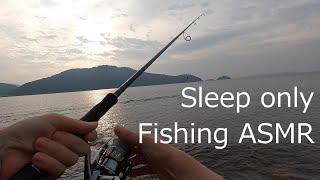 [ASMR]  Fishing ASMR Sleep Only  Quiet shore in the bay