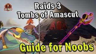 OSRS RAIDS 3 TOA GUIDE FOR NOOBS | Tombs of Amascut