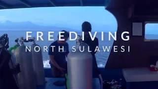 Freediving at Thalassa