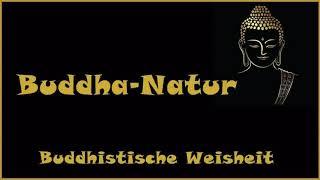 Zur Inspiration: Buddha Natur - Buddhistische Weisheit