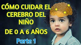 Cómo Cuidar el Cerebro de tu Niño de 0 a 6 Años - Cuidar el Cerebro en la Primera Infancia, Parte 1