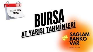 1 Kasım 2024 Cuma BURSA At Yarışı Tahminleri