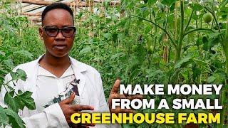 How To Make Money From A Vegetable Greenhouse: Small Greenhouse Farming For A Small Farmer