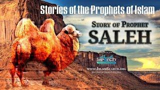 Prophet Saleh ┇ Prophet Stories from the Quran ┇ Quranic Stories by IslamSearch