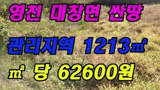 시퀀스 02대창싼땅(물건번호135) 영천시 대창면 싼땅 1213㎡/㎡ 당62600원