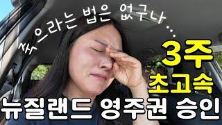 3주 만에 초고속 영주권 승인 | 영주권 타임라인 | 뉴질랜드 이민을 결심한 이유 | 뉴질랜드 비자.... 지금이 기회입니다 | 뉴질랜드에서 홀로 아들 넷 키우는 엄마